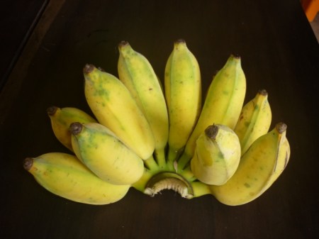 Chuối sứ - Công Ty TNHH Fresh Banana
